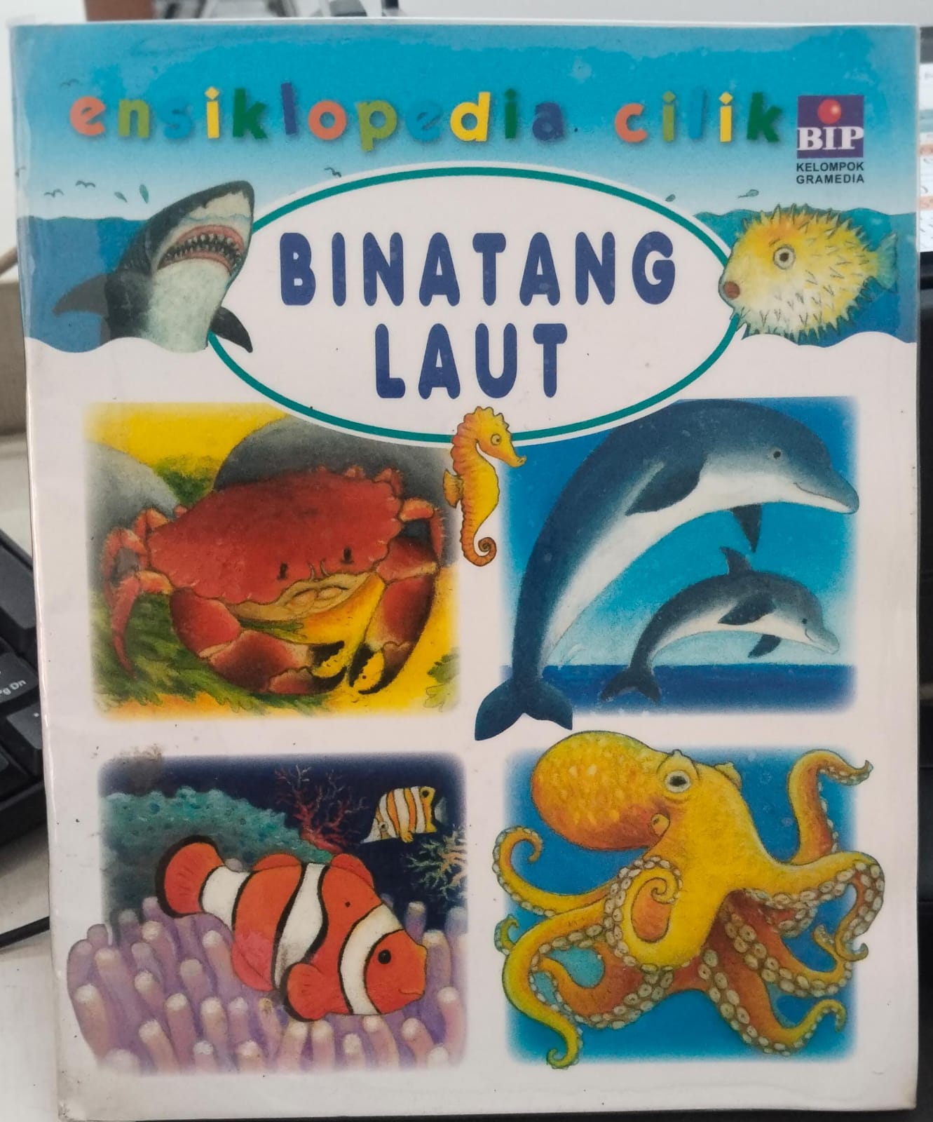BINATANG DI LAUT