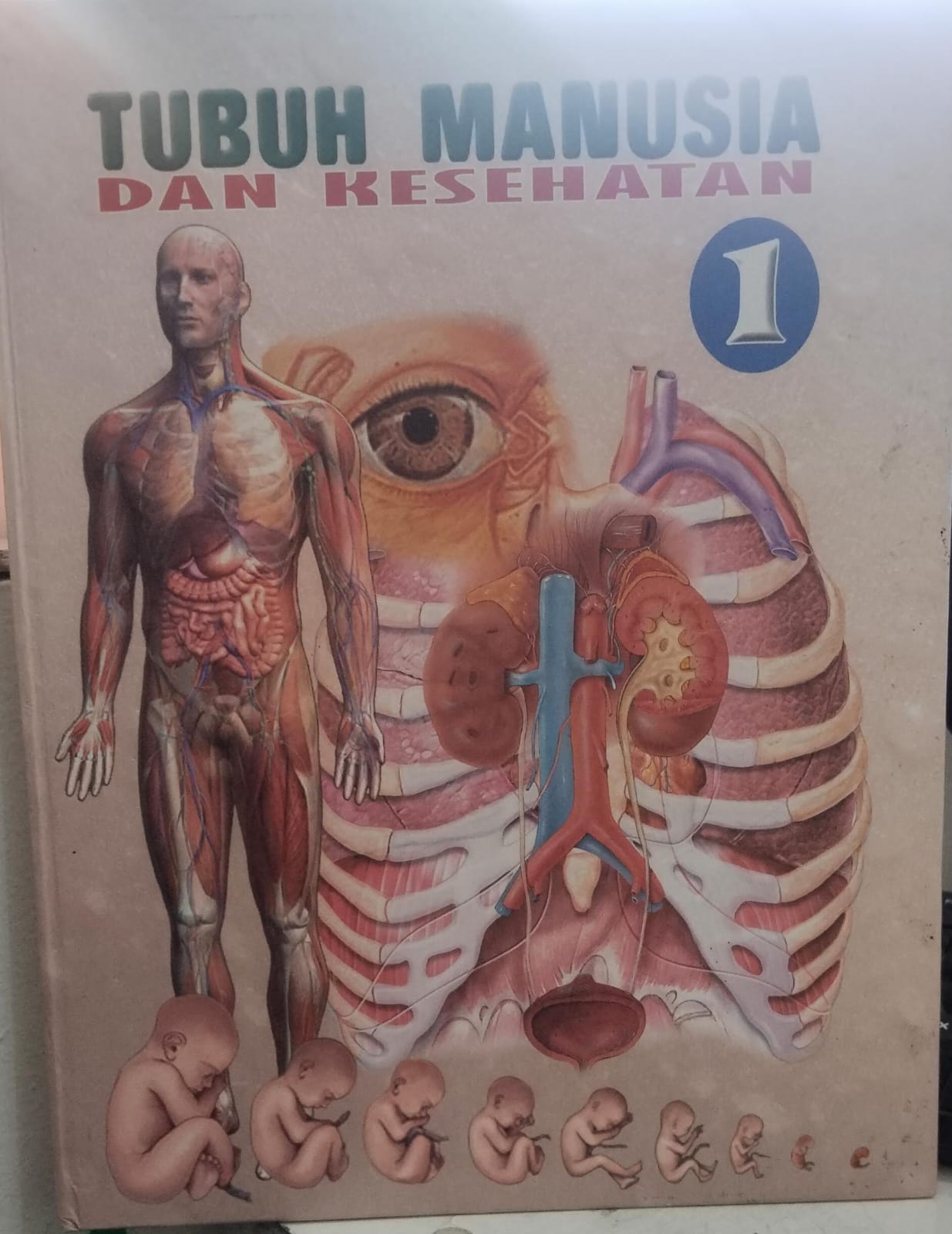 TUBUH MANUSIA DAN KESEHATAN