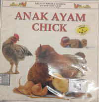 Image of ANAK AYAM CHICK