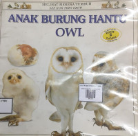 Image of ANAK BURUNG HANTU OWL