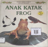 Image of ANAK KATAK FROG