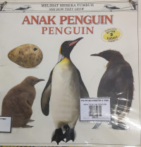 Image of ANAK PENGUIN PENGUIN