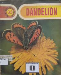Image of DANDELION